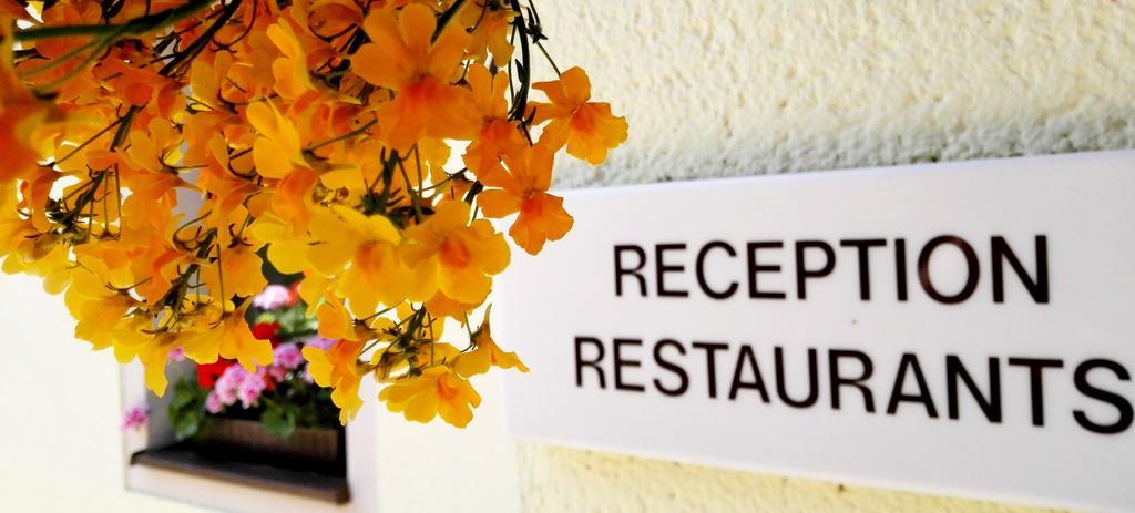 Ferienhotel Augustusburg Ngoại thất bức ảnh